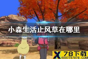 《小森生活》止风草在哪里 止风草刷新地点一览