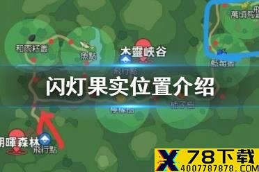 《小森生活》闪灯果实在哪里 闪灯果实位置介绍