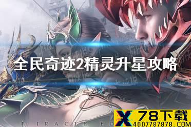 《全民奇迹2》精灵怎么升星 精灵升星攻略