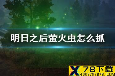 《明日之后》萤火虫怎么抓 捕捉萤火虫技巧