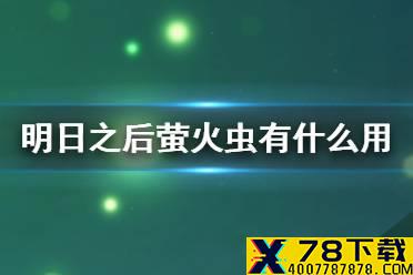 《明日之后》萤火虫有什么用 萤火虫生态缸怎么获得