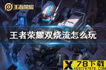 《王者荣耀》双烧流怎么玩 双烧流打法出装玩法