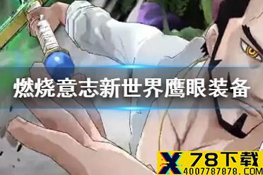 《航海王燃烧意志》新世界鹰眼装备怎么选 新世界鹰眼装备推荐