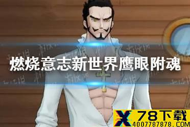 《航海王燃烧意志》新世界鹰眼附魂怎么选 新世界鹰眼附魂推荐