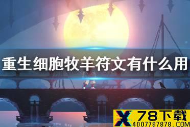 《重生细胞》牧羊符文有什么用 牧羊符文作用介绍