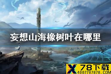 《妄想山海》橡树叶在哪里寻找 橡树叶位置介绍