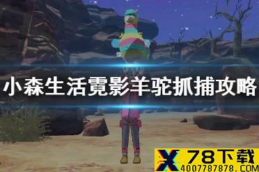 《小森生活》羊驼王在哪 霓影羊驼抓捕攻略