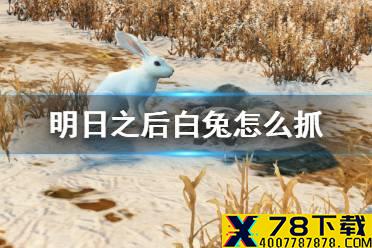 《明日之后》白兔怎么抓 野兔活动新增白兔获取方法