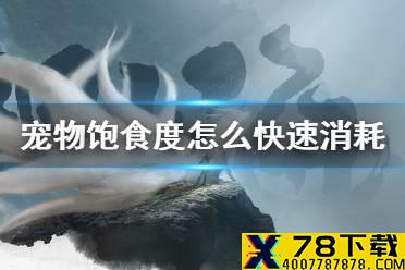 《妄想山海》宠物饱食度怎么快速消耗 掉饱食度方法介绍
