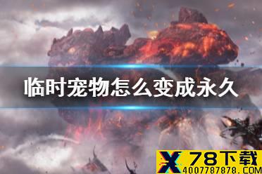 《妄想山海》临时宠物怎么变成永久 临时宠物宠物介绍