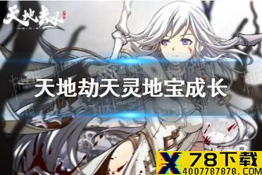 《天地劫》天灵地宝.成长值得买吗 天灵地宝.成长购买攻略