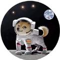 dogz币app下载_dogz币app最新版免费下载
