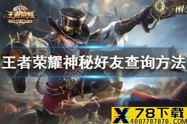 《王者荣耀》神秘好友怎么看 神秘好友查询方法
