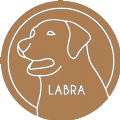 Labrador币app下载_Labrador币app最新版免费下载
