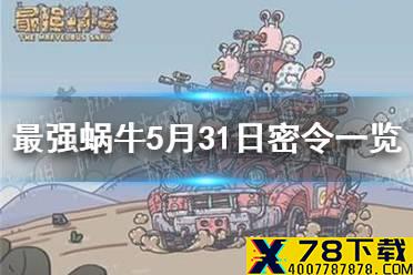 《最强蜗牛》5月31日密令是什么 5月31日密令一览