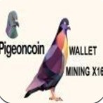 Pigeoncoin鸽子币app下载_Pigeoncoin鸽子币app最新版免费下载