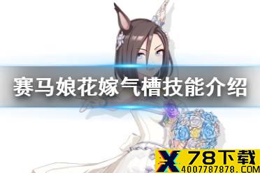 《赛马娘手游》花嫁气槽技能是什么 花嫁气槽大招翻译