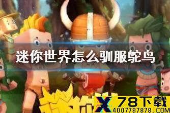 《迷你世界》怎么驯服鸵鸟 坐骑驯服教程