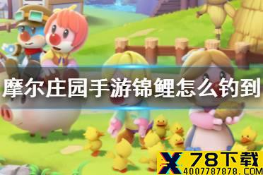 《摩尔庄园手游》锦鲤怎么钓到 锦鲤获取方式