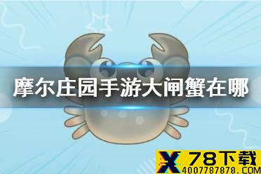 《摩尔庄园手游》大闸蟹在哪 大闸蟹位置