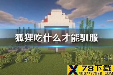 《我的世界手游》狐狸吃什么才能驯服 狐狸驯服方法介绍