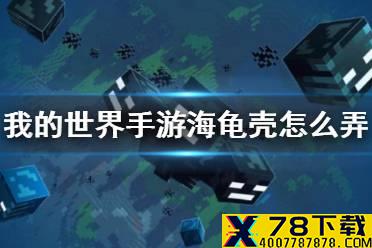 《我的世界手游》海龟壳怎么弄 海龟壳获得方法