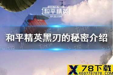 《和平精英》黑刃的秘密是什么 黑刃的秘密介绍