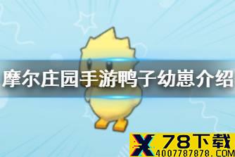 《摩尔庄园手游》鸭子幼崽介绍 鸭子幼崽攻略