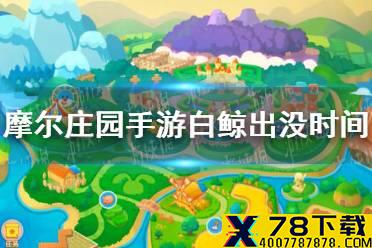 《摩尔庄园手游》白鲸出没时间 白鲸几点能钓介绍