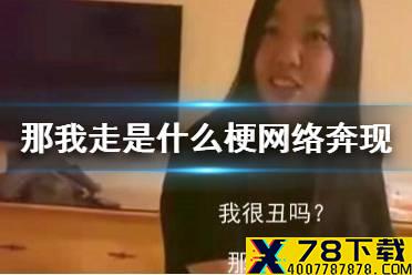 那我走什么梗 那我走是什么梗网络奔现