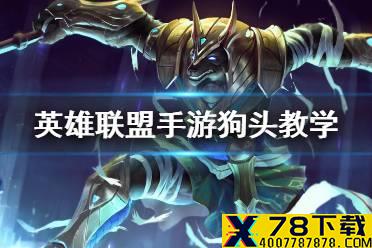《英雄联盟手游》狗头教学 沙漠死神出装天赋连招技能介绍