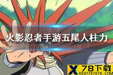 《火影忍者手游》五尾人柱力怎么样 五尾人柱力预览