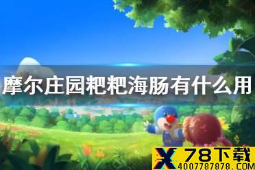 《摩尔庄园手游》粑粑海肠有什么用 粑粑海肠作用介绍