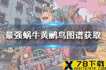 《最强蜗牛》黄鹂鸟图谱怎么获得 黄鹂鸟图谱获取方法
