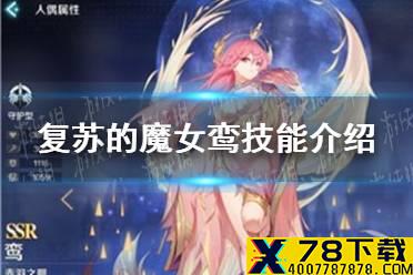 《复苏的魔女》鸾角色攻略 鸾技能介绍