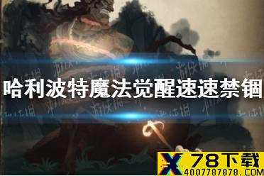 《哈利波特魔法觉醒》速速禁锢怎么样 速速禁锢介绍