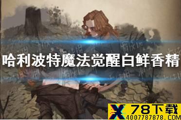 《哈利波特魔法觉醒》白鲜香精卡牌怎么样 白鲜香精卡牌介绍