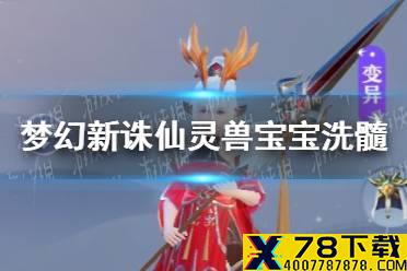 《梦幻新诛仙》灵兽宝宝怎么洗髓 宝宝洗髓介绍