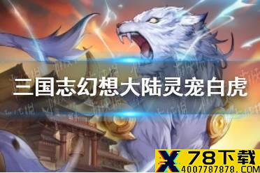 《三国志幻想大陆》白虎怎么样 灵宠白虎图鉴