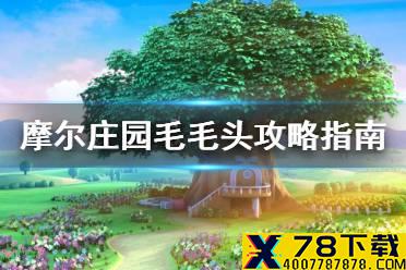 《摩尔庄园》毛毛头攻略指南 毛毛头翻译解读