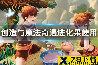 《创造与魔法》奇遇进化果怎么用 奇遇进化果使用方法