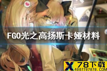 《FGO》光之高扬斯卡娅材料需求 杀狐满破满技能消耗材料一览