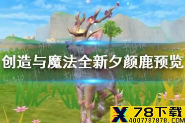 《创造与魔法》全新夕颜鹿怎么样 全新夕颜鹿预览