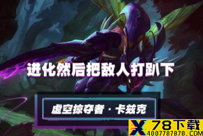 网1