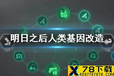 《明日之后》人类基因改造 人类基因属性强化一览