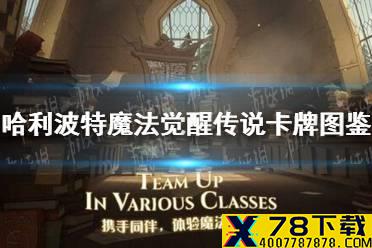 《哈利波特魔法觉醒》传说卡牌图鉴 传说卡牌大全