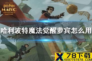 《哈利波特魔法觉醒》萝宾怎么用 伙伴卡萝宾使用攻略
