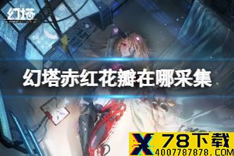 《幻塔》赤红花瓣在哪采集 赤红花瓣采集位置分享