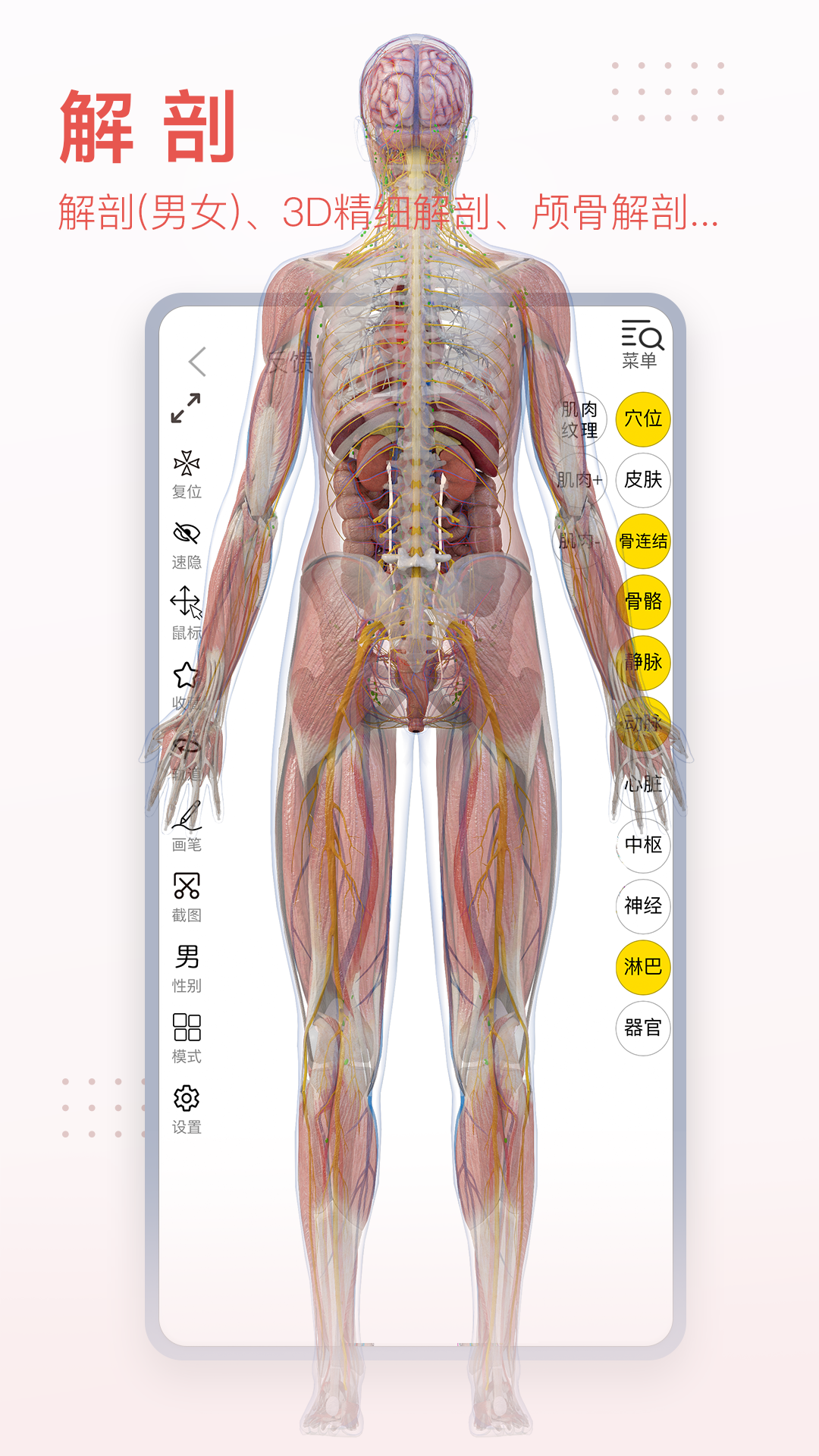 哪些3D软件最受欢迎？最佳3D软件下载分享