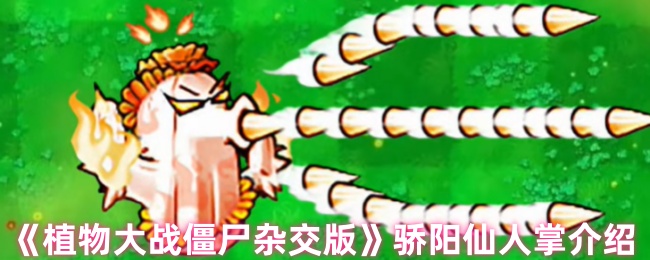 《植物大战僵尸杂交版》阳光下的仙人掌详解